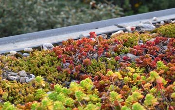 the cost of Madeley green roof installation