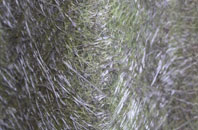 Madeley fibreglass roof work